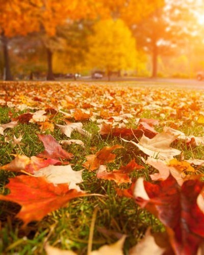 HARRIS, John Edward: